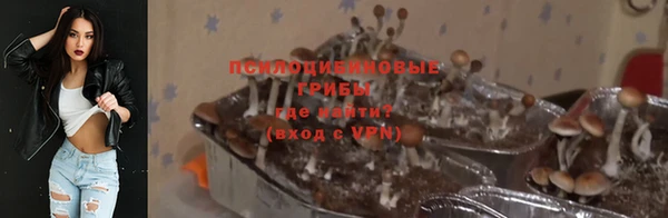 винт Осташков