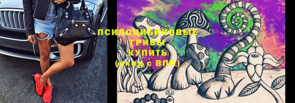 бутират Нязепетровск