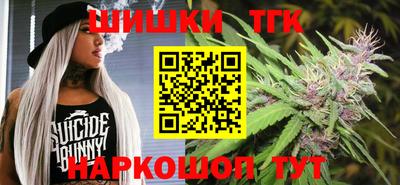 гидра Гатчина