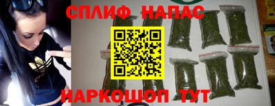 гидра Гатчина