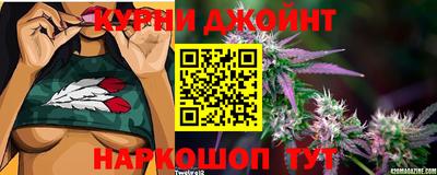 гашик Гагарин