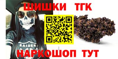гидра Гатчина