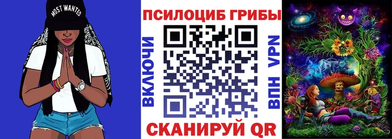 Псилоцибиновые грибы Psilocybe  Абинск 